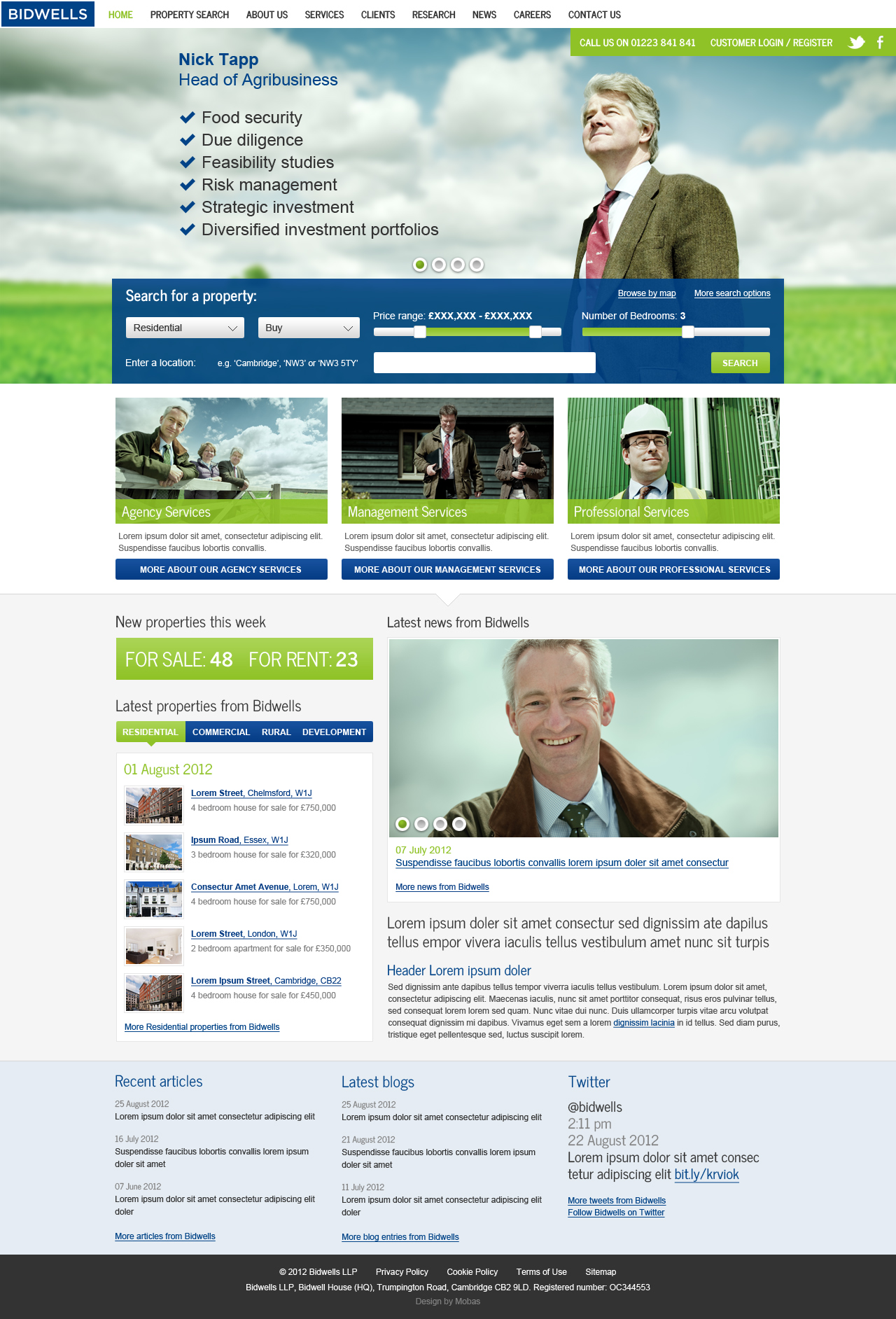 Property agent website concept 4 home page