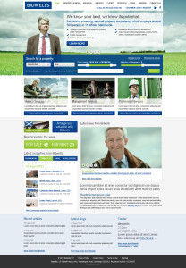 Property agent website concepts alternative home page